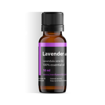 Lavender Absolute-0