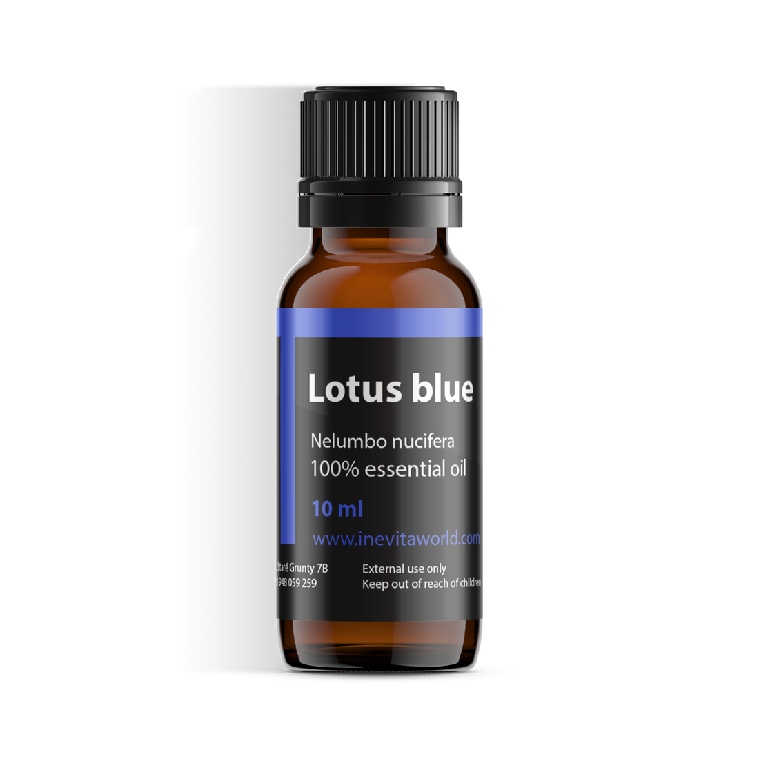 Lotus Blue Absolute-0