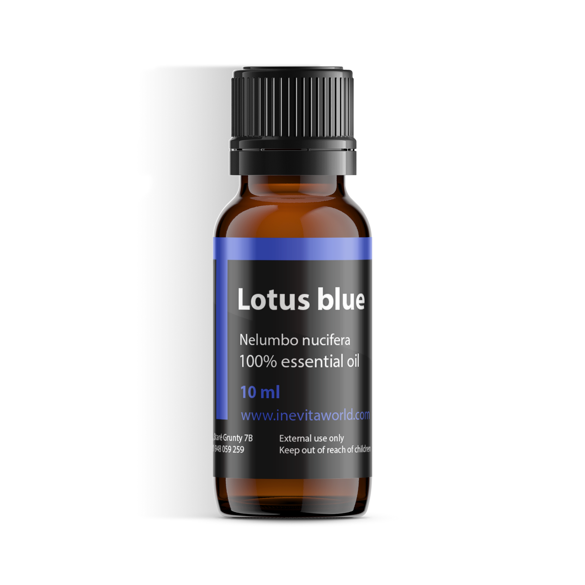 Lotus Blue Absolute-0