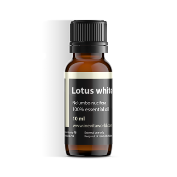 Lotus White Absolute Essential Oil