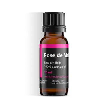 Rose de Mai-0