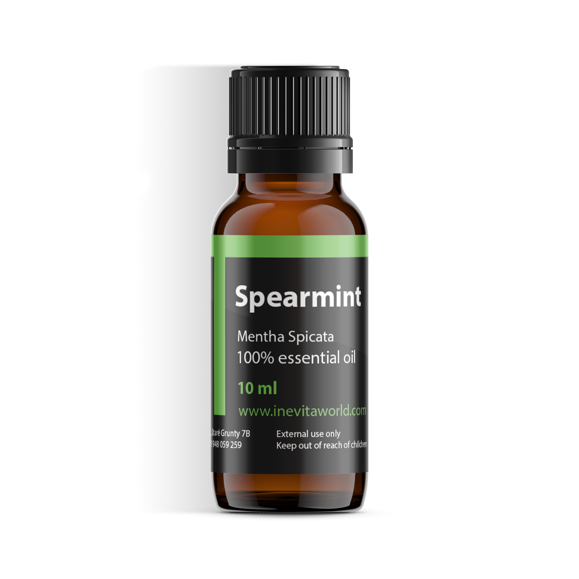 Spearmint-0