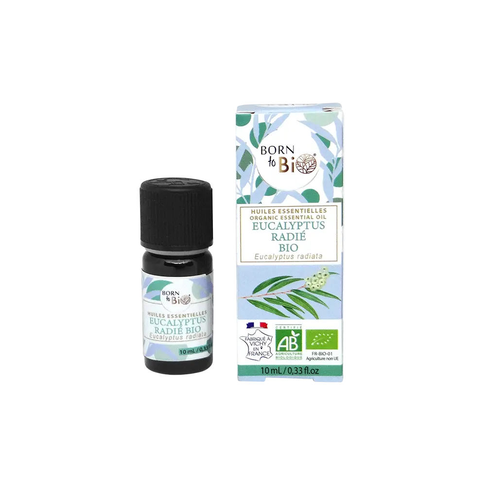 Huile essentielle Eucalyptus radié Certifiée Bio-2
