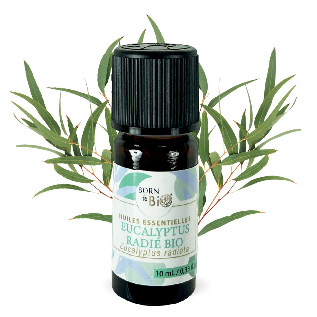 Huile essentielle Eucalyptus radié Certifiée Bio-0
