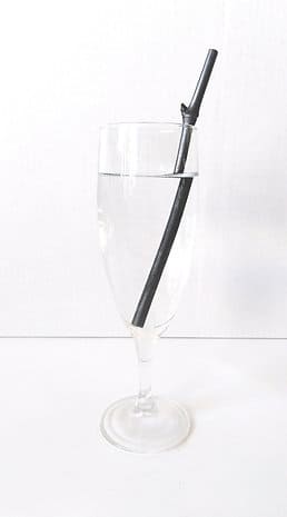 Fine French bamboo charcoal: twigs