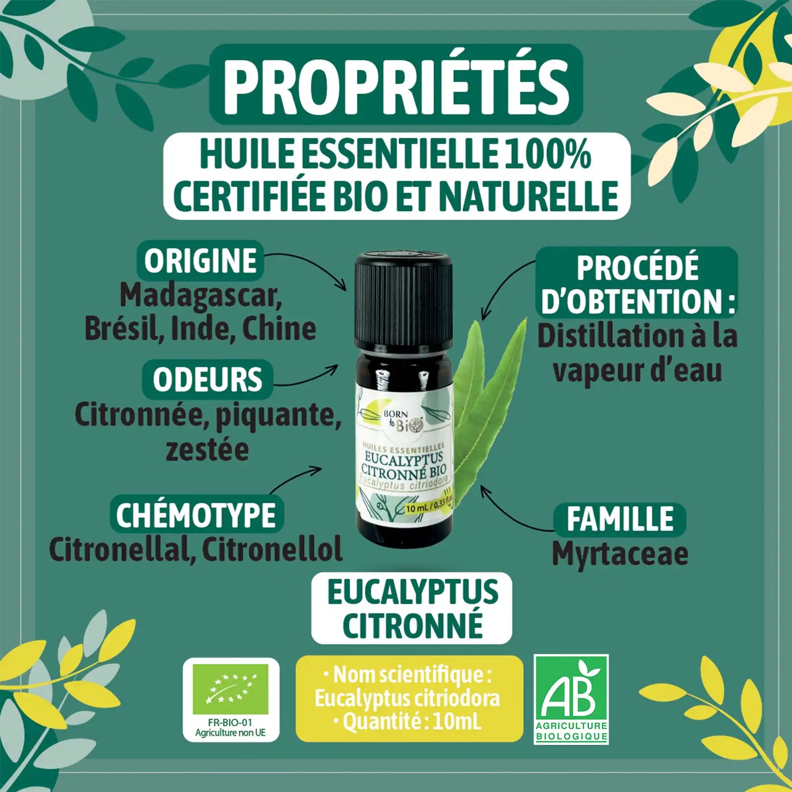 Huile essentielle Eucalyptus citronné Certifiée Bio-1