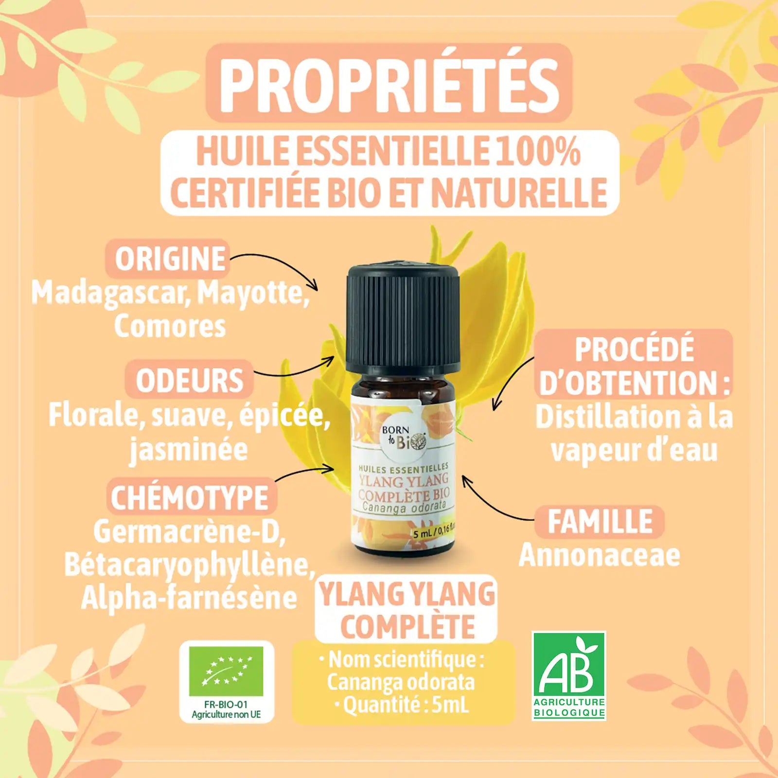 Huile essentielle Ylang ylang complète Bio-1